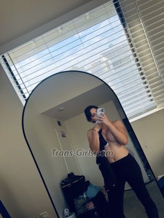 Shemale-tsAndrea-5057070 