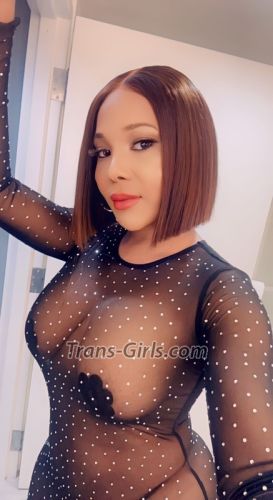 trans girl tsDanielle 2026303 trans girl tsDanielle 2026303