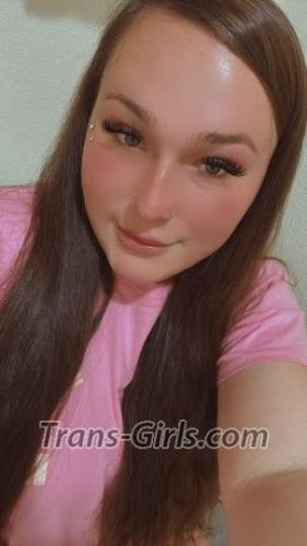 trans girl tsdreamgirl 6541671 trans girl tsdreamgirl 6541671