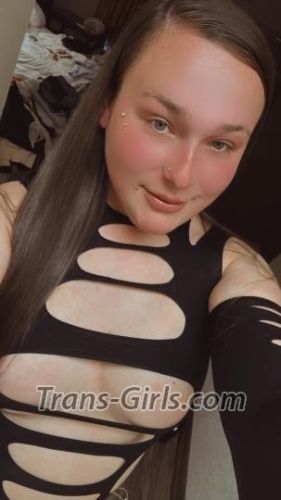 trans girl tsdreamgirl 6541684 trans girl tsdreamgirl 6541684