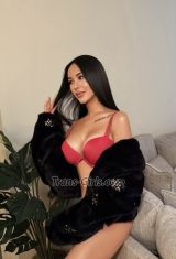 ts gina Washington Transex Hi guys!I am Pamika 26 years old from the land of
beautiful trans Thailand!