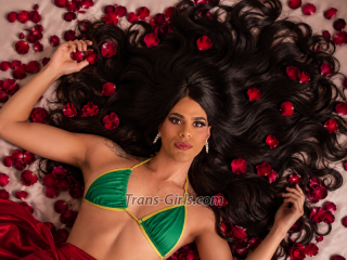 Shemale Escort - vanessa ts - Georgia